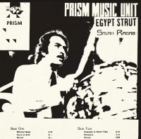 Ragab Salah & The Cairo Jazz Band - Egypt Strut in the group CD / Jazz at Bengans Skivbutik AB (4073163)