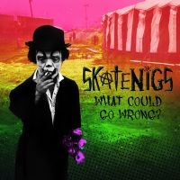 Skatenigs - What Could Go Wrong? in the group CD / Pop-Rock at Bengans Skivbutik AB (4075146)