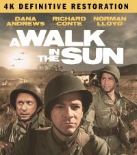 A Walk In The Sun: The Definitive R - Film (2Br) in the group MUSIK / Musik Blu-Ray / Film-Musikal at Bengans Skivbutik AB (4077109)