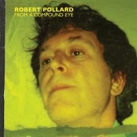 Pollard Robert - From A Compound Eye in the group OUR PICKS /  Christmas gift tip Vinyl at Bengans Skivbutik AB (4078355)