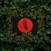 Moses Sumney - Live From Blackalachia (Clear Green in the group OUR PICKS /  Christmas gift tip Vinyl at Bengans Skivbutik AB (4116301)