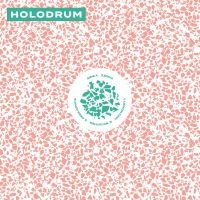 Holodrum - Holodrum in the group VINYL / Dance-Techno at Bengans Skivbutik AB (4128514)