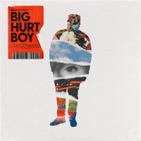 Woods Donovan - Big Hurt Boy in the group CD / Svensk Folkmusik,World Music at Bengans Skivbutik AB (4131558)