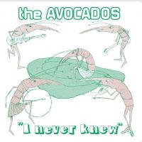 Avocados - I Never Knew in the group VINYL / Pop-Rock at Bengans Skivbutik AB (4143142)