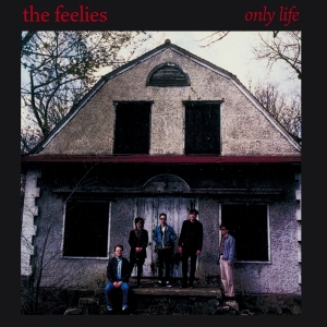 Feelies - Only Life in the group OUR PICKS / Christmas gift tip CD at Bengans Skivbutik AB (4154537)