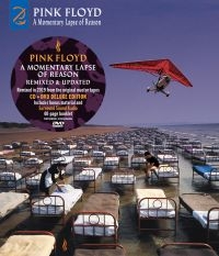 Pink Floyd - A Momentary Lapse Of Reason in the group OUR PICKS / Christmas gift tip CD at Bengans Skivbutik AB (4155686)