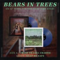 Bears In Trees - Keep Me Safe / I Want To Feel Chaot in the group VINYL / Pop-Rock at Bengans Skivbutik AB (4163043)