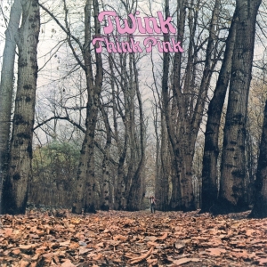 Twink - Think Pink in the group CD / Rock at Bengans Skivbutik AB (4173909)