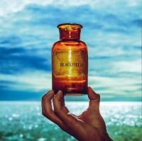 Blackfield - Blackfield V in the group VINYL / Pop-Rock at Bengans Skivbutik AB (4177242)