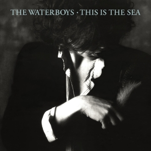 The Waterboys - This Is The Sea in the group OTHER / CRM - Irish Pop-Rock at Bengans Skivbutik AB (4178683)