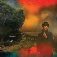 Sharon Van Etten - We've Been Going About This All Wro in the group OUR PICKS / Best albums of 2022 / Uncut 22 at Bengans Skivbutik AB (4197762)
