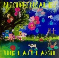 Nightingales - Last Laugh in the group VINYL / Pop-Rock at Bengans Skivbutik AB (4200017)