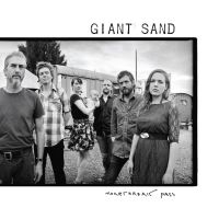 Giant Sand - Heartbreak Pass in the group VINYL / Pop-Rock at Bengans Skivbutik AB (4200022)