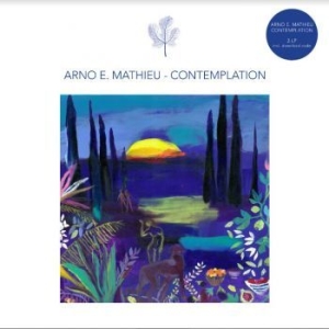 Mathieu Arno E. - Contemplation in the group VINYL / Pop at Bengans Skivbutik AB (4205698)