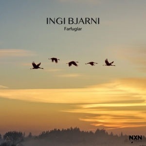 Ingi Bjarni - Farfuglar in the group OTHER /  /  at Bengans Skivbutik AB (4205933)