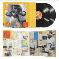 Mull Historical Society - Loss in the group VINYL / Pop-Rock at Bengans Skivbutik AB (4206121)