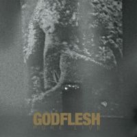 Godflesh - Pure: Live (2 Lp Splatter Vinyl) in the group VINYL / Pop-Rock at Bengans Skivbutik AB (4218857)