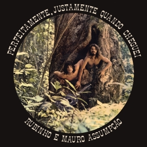 Rubinho E Mauro Assumpoao - Perfeitamente, Justamento Quan in the group CD / World Music at Bengans Skivbutik AB (4218939)