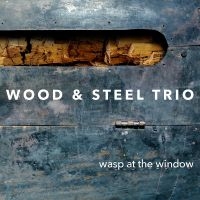 Wood & Steel Trio - Wasp At The Window in the group CD / Jazz at Bengans Skivbutik AB (4222008)