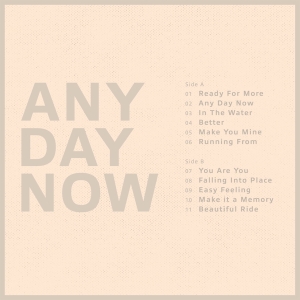 Krezip - Any Day Now in the group VINYL / Pop-Rock at Bengans Skivbutik AB (4222169)