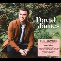 James David - The Promise in the group CD / Pop-Rock at Bengans Skivbutik AB (4250992)