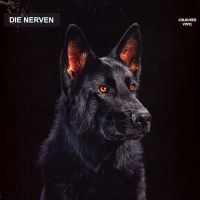 Die Nerven - Die Nerven (Transparent Orange Viny in the group VINYL / Pop-Rock at Bengans Skivbutik AB (4256017)