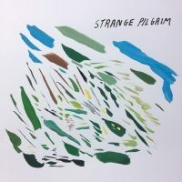 Strange Pilgrim - Strange Pilgrim in the group CD / Pop-Rock at Bengans Skivbutik AB (4261113)