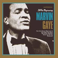 Gaye Marvin - In The Beginning (Vinyl Lp) in the group OTHER / -Start Jan R1 at Bengans Skivbutik AB (4275775)