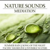 Various Artists - Nature Sounds Meditation in the group OUR PICKS / Christmas gift tip CD at Bengans Skivbutik AB (4290593)