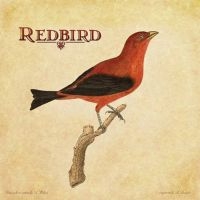 Redbird - Redbird in the group CD / Pop-Rock at Bengans Skivbutik AB (4294162)