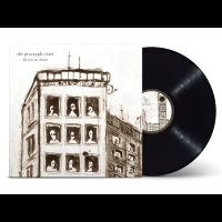 Pineapple Thief The - 10 Stories Down in the group OUR PICKS /  Christmas gift tip Vinyl at Bengans Skivbutik AB (4296405)