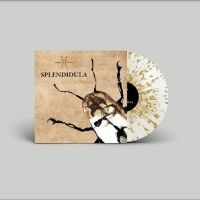 Splendidula - Splendidula (Milky Clear W/ Gold Sp in the group VINYL / Hårdrock at Bengans Skivbutik AB (4298317)