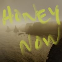 Neon Waltz - Honey Now in the group OUR PICKS / Christmas gift tip CD at Bengans Skivbutik AB (4298371)