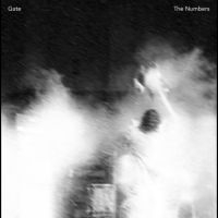 Gate - The Numbers in the group VINYL / Pop-Rock at Bengans Skivbutik AB (4302266)