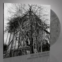 Impure Wilhelmina - Dead Decades (Marbled Vinyl Lp) in the group VINYL / Hårdrock at Bengans Skivbutik AB (4306216)