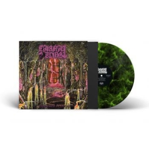 Carnal Tomb - Embalmed In Decay (Lime Marbled Vin in the group VINYL / Hårdrock at Bengans Skivbutik AB (4308278)