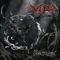 Vile - Depopulate in the group VINYL / Hårdrock at Bengans Skivbutik AB (4308956)