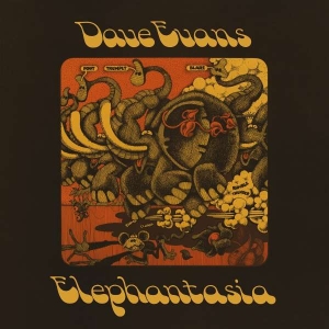 Evans Dave - Elephantasia in the group OUR PICKS /  Christmas gift tip Vinyl at Bengans Skivbutik AB (4312180)