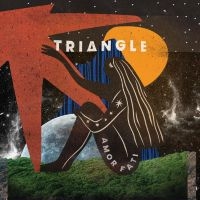 TRIANGLE - AMOR FATI in the group VINYL / Pop-Rock at Bengans Skivbutik AB (4312502)