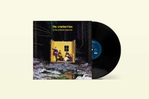 THE CRANBERRIES - TO THE FAITHFUL DEPARTED in the group VINYL / Irländsk Musik,Pop-Rock at Bengans Skivbutik AB (4312596)