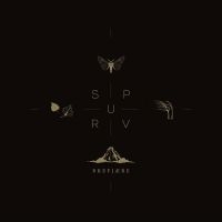 SPURV - BREFJÆRE (VINYL LP) in the group VINYL / Pop-Rock at Bengans Skivbutik AB (4312995)