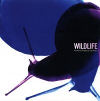 Phillips Anthony & Joji Hirota - Wildlife (Remastered And Expanded) in the group CD / Pop-Rock at Bengans Skivbutik AB (4349620)