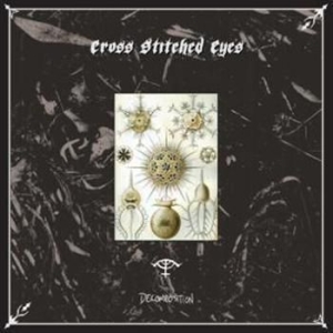 Cross Stitched Eyes - Decomposition in the group VINYL / Hårdrock/ Heavy metal at Bengans Skivbutik AB (481647)