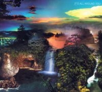 Tortoise - It's All Around You in the group VINYL / Pop-Rock at Bengans Skivbutik AB (483749)