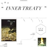 Sun Araw - The Inner Treaty in the group VINYL / Rock at Bengans Skivbutik AB (484717)