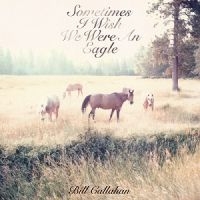 Callahan Bill - Sometimes I Wish We Were An Eagle in the group VINYL / Pop-Rock at Bengans Skivbutik AB (493161)