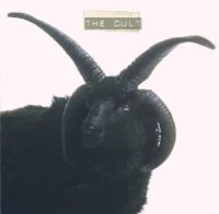 The Cult - The Cult in the group CD / Pop-Rock at Bengans Skivbutik AB (503121)