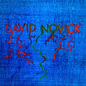 Novick David - David Novick in the group VINYL / Pop at Bengans Skivbutik AB (505547)