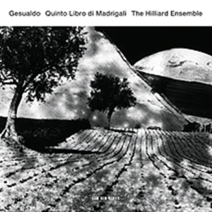 Carlo Gesualdo The Hilliard Ensembl - Quinto Libro Di Madrigali in the group Externt_Lager /  at Bengans Skivbutik AB (506815)