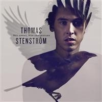 Thomas Stenström - Nåt Annat, Nån Annanstans in the group CD / Pop-Rock,Svensk Musik at Bengans Skivbutik AB (510759)